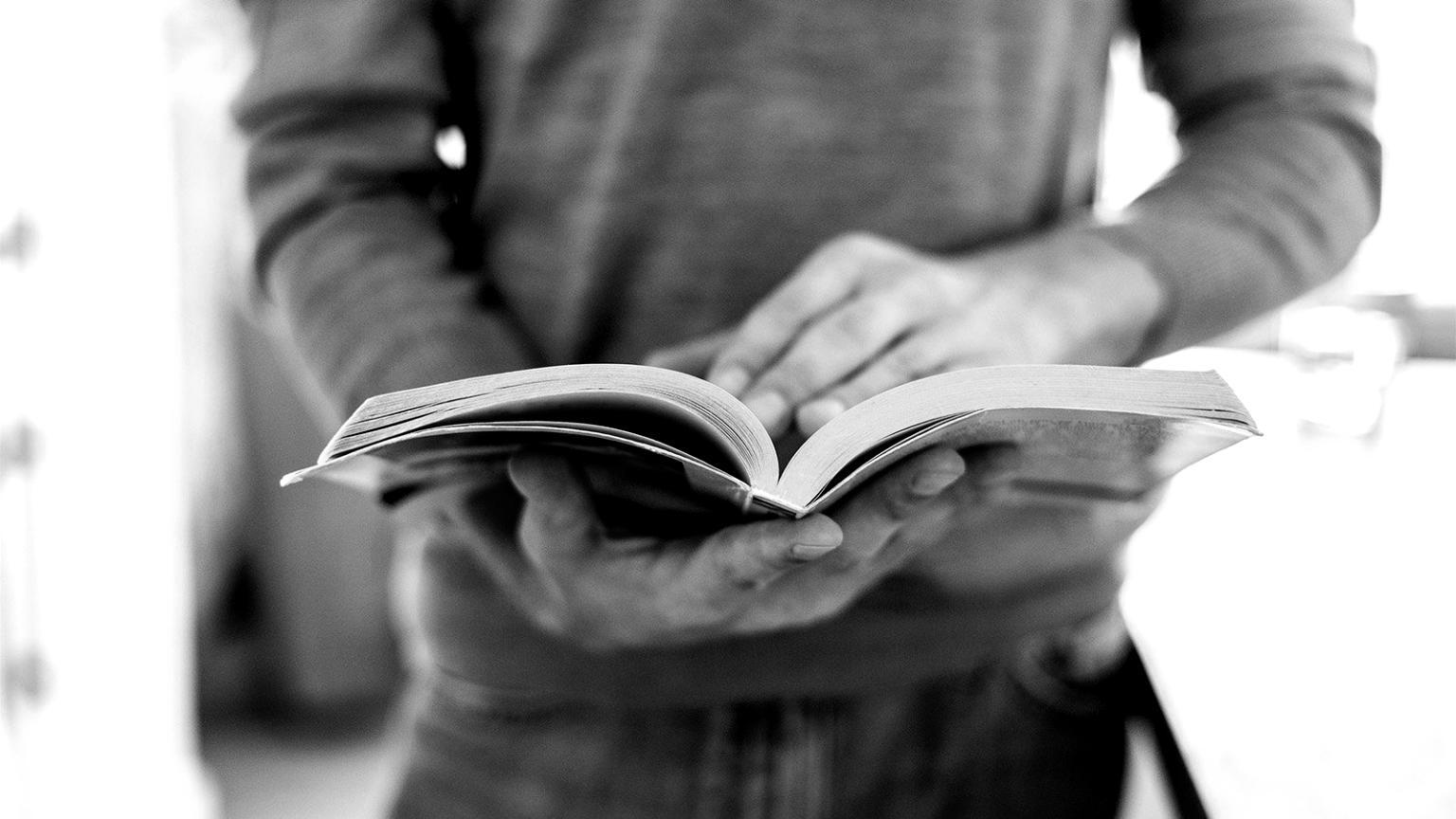 E-ticaret SEO eğitimi içeriği